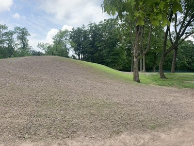Freshly graded earthen slope seeded with topsoil bordering a wooded park edge